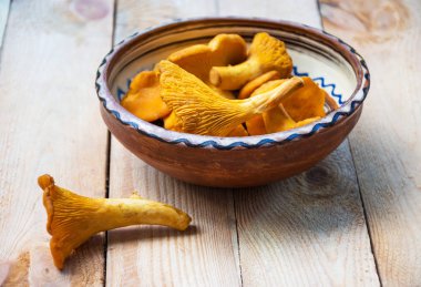 Eski ahşap arka planda taze altın bir chanterelle. Seçici odak