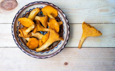 Eski ahşap arka planda taze altın bir chanterelle. Seçici odak