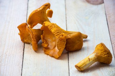 Eski ahşap arka planda taze altın bir chanterelle. Seçici odak