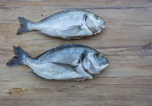 날고기 도라도 Raw Dorado 바닷가재 Sea Bream 물고기 위에서 내려다 — 스톡 사진