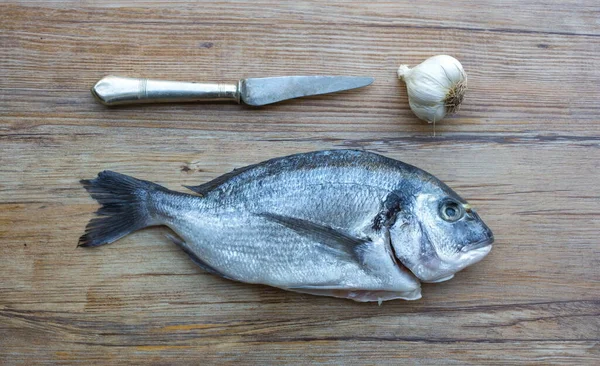 Ωμό Dorado Ψάρι Τσιπούρας Ξύλινο Τραπέζι Vintage Μαχαίρι Και Σκόρδο — Φωτογραφία Αρχείου