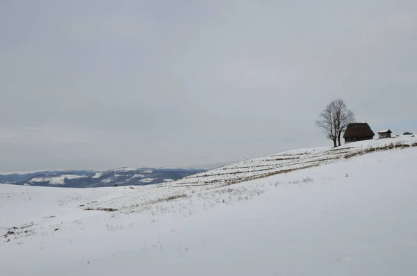 Casas Tradicionais Aldeia Dumesti Montanhas Apuseni Romênia Inverno — Fotografia de Stock