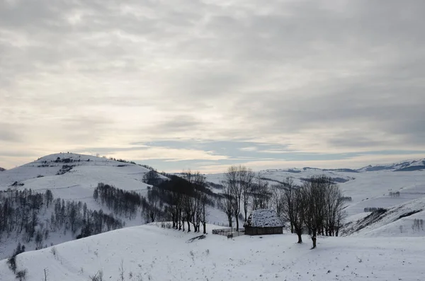 Casas Tradicionais Aldeia Dumesti Montanhas Apuseni Romênia Inverno — Fotografia de Stock