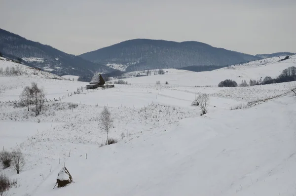 Casas Tradicionais Aldeia Dumesti Montanhas Apuseni Romênia Inverno — Fotografia de Stock