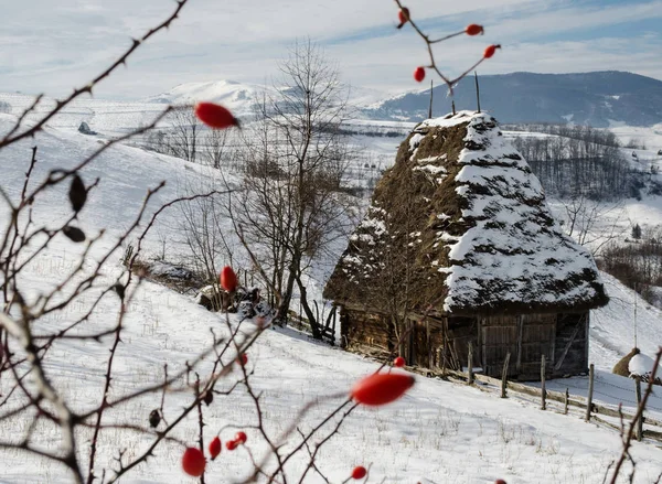 Casas Tradicionais Aldeia Dumesti Montanhas Apuseni Romênia Inverno — Fotografia de Stock