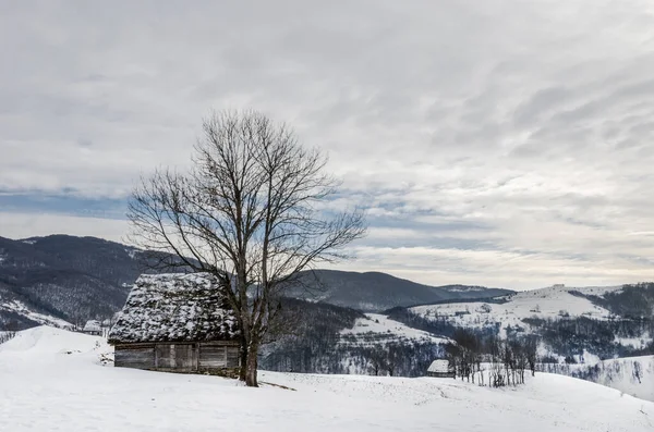 Casas Tradicionais Aldeia Dumesti Montanhas Apuseni Romênia Inverno — Fotografia de Stock