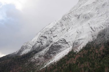 Avusturya 'nın Styria bölgesinde kayalar, karlar ve ağaçlarla kaplı dağ yüzeyinin ayrıntıları. Mevsimler arasında hava, sonbahar ve kış ayni anda.