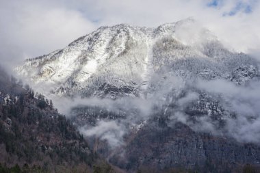 Avusturya 'nın Styria bölgesinde kayalar, karlar ve ağaçlarla kaplı dağ yüzeyinin ayrıntıları