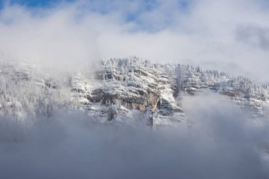 Avusturya 'nın Styria bölgesinde kayalar, karlar ve ağaçlarla kaplı dağ yüzeyinin ayrıntıları