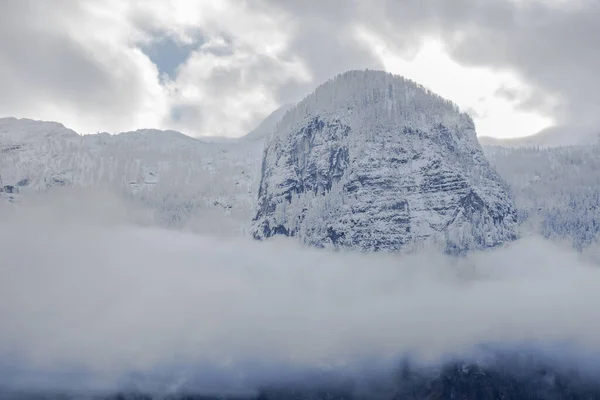 Detail of mountain face with rocks, snow and trees, in Styria region, Austria