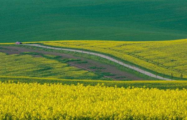 Чудовий Барвистий Абстрактний Пейзаж Прокат Пагорбів Зелених Пшеничних Полів Жовтих — стокове фото