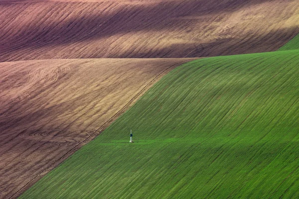 Beau Paysage Abstrait Coloré Avec Des Collines Des Champs Blé — Photo