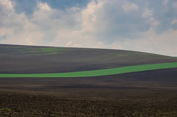 Hermoso Colorido Paisaje Abstracto Con Colinas Onduladas Campos Trigo Verde —  Fotos de Stock