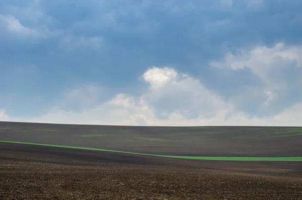 Hermoso Colorido Paisaje Abstracto Con Colinas Onduladas Campos Trigo Verde —  Fotos de Stock