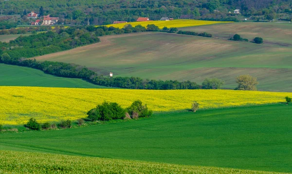 Krásná Pestrobarevná Abstraktní Krajina Zvlněnými Kopci Zelenými Pšeničnými Poli Žlutými — Stock fotografie