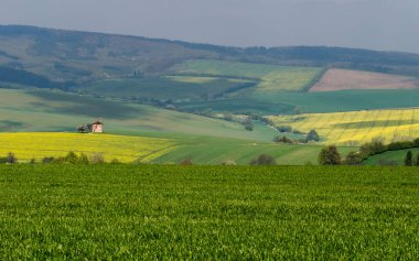 Çek Cumhuriyeti, Güney Moravya 'da kayan tepeleri ve yel değirmeniyle kırsal alan