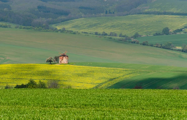 Vidéki Absztrakt Táj Dombokkal Szélmalommal Dél Morvaországban Csehországban — Stock Fotó