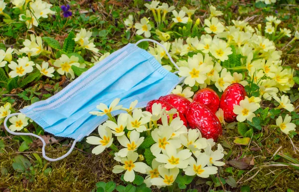 Easter 2020 concept during Coronavirus COVID-19 worldwide pandemic with a medical mask, red Easter eggs and colorful spring flowers in the garden. Selective focus