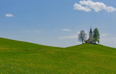 İlkbaharda Slovenya kırsalında bir tepede küçük sevimli bir kilise ve çiçek açan karahindibalar ve nergisler kır çiçekleri. Slovenya 'da güneşli bir bahar sabahı.