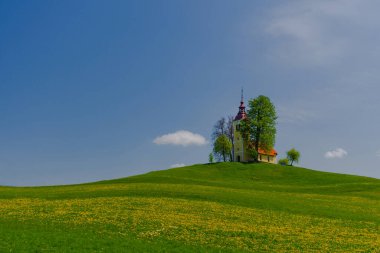 İlkbaharda Slovenya kırsalında bir tepede küçük sevimli bir kilise ve çiçek açan karahindibalar ve nergisler kır çiçekleri. Slovenya 'da güneşli bir bahar sabahı.