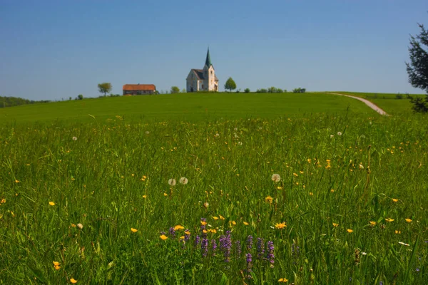 Campo Esloveno Primavera Com Encantadora Pequena Igreja Uma Colina Eslovênia — Fotografia de Stock