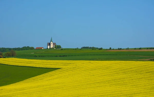 Slovinská Krajina Jaře Půvabným Kostelíčkem Kopci Kvetoucím Řepkovým Polem Slovinsku — Stock fotografie