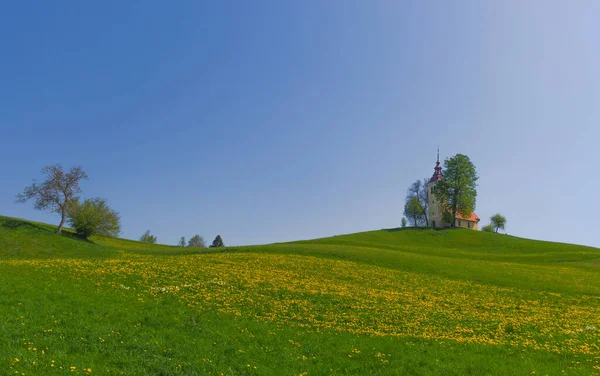 Campo Esloveno Primavera Com Encantadora Pequena Igreja Uma Colina Florescendo — Fotografia de Stock