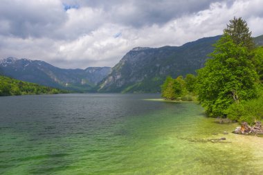 Bohinj Gölü 'nün berrak mavi suları, Slovenya' nın en büyük kalıcı gölü Julian Alps. Baharda güzel dağ manzarası.