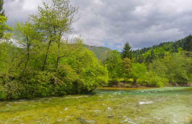 Bohinj, Julian Alps, Slovenya yakınlarındaki bir dağ nehrinin hızlı berrak suları.
