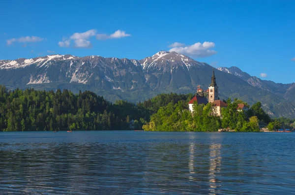 Sunny Morning Lake Bled Julian Alps Background Lake Island Charming — Stock Photo, Image