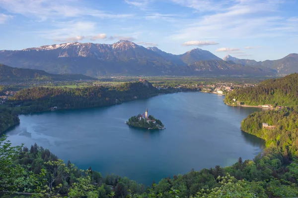 Letecký Pohled Jezero Bled Julian Alpy Jezerní Ostrov Okouzlující Kostelík — Stock fotografie