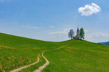 İlkbaharda Slovenya kırsalında bir tepede küçük sevimli bir kilise ve çiçek açan karahindibalar ve nergisler kır çiçekleri. Slovenya 'da güneşli bir bahar sabahı.