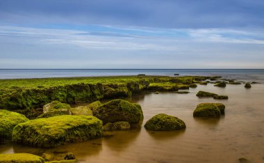 Yüksek kayalıklarla çevrili güzel Porto de Mos Sahili altın kumdan yapılmış uzun bir dil gibidir. Dalgalar alçaldığında plajın sonundaki kayalar açıkta kalır. Lagos, Batı Algarve kıyıları, Portekiz.