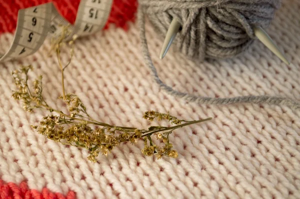 編み針と糸の愛で — ストック写真