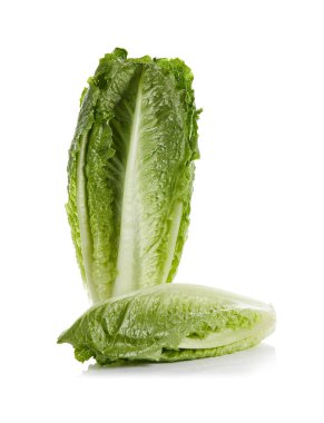 Romaine Kalpleri Beyaz Arkaplanda İzole Edildi