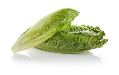 Romaine Kalpleri Beyaz Arkaplanda İzole Edildi