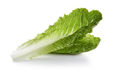 Romaine Kalpleri Beyaz Arkaplanda İzole Edildi