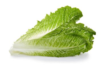 Romaine Kalpleri Beyaz Arkaplanda İzole Edildi