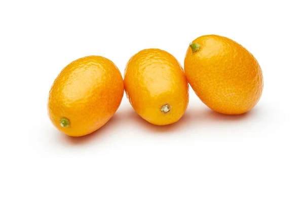 Kumquat Isolado Sobre Fundo Branco — Fotografia de Stock