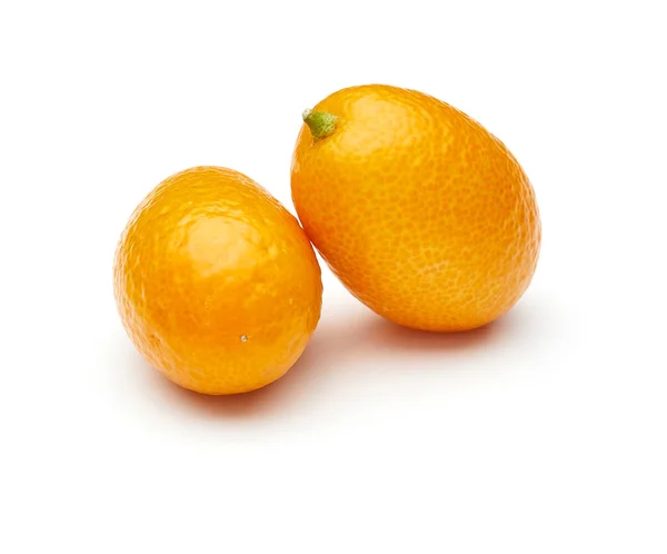 Kumquat Geïsoleerd Witte Achtergrond — Stockfoto