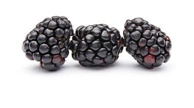 Blackberry beyaz arkaplanda izole edildi