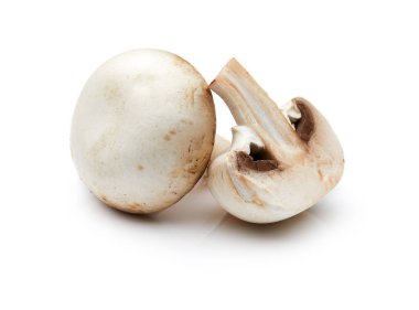 Beyaz Arkaplanda İzole edilmiş Mantar