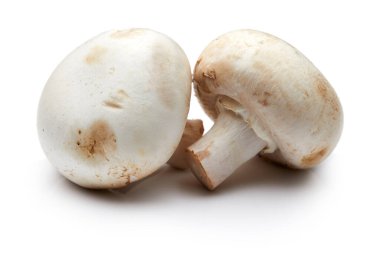 Beyaz Arkaplanda İzole edilmiş Mantar