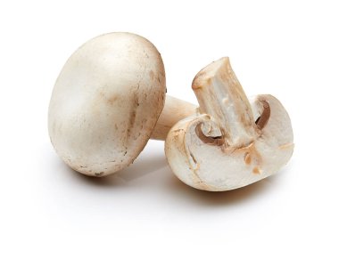 Beyaz Arkaplanda İzole edilmiş Mantar