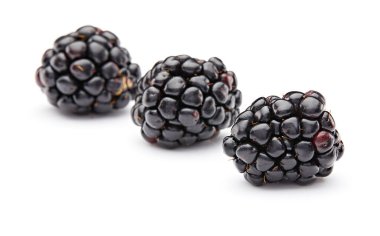 Blackberry beyaz arkaplanda izole edildi