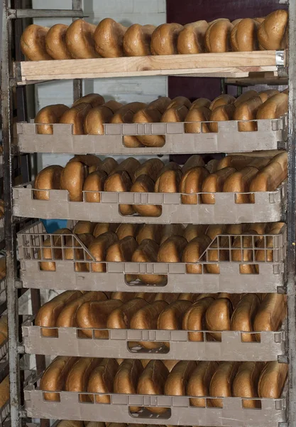 loaves in racks in a bakery