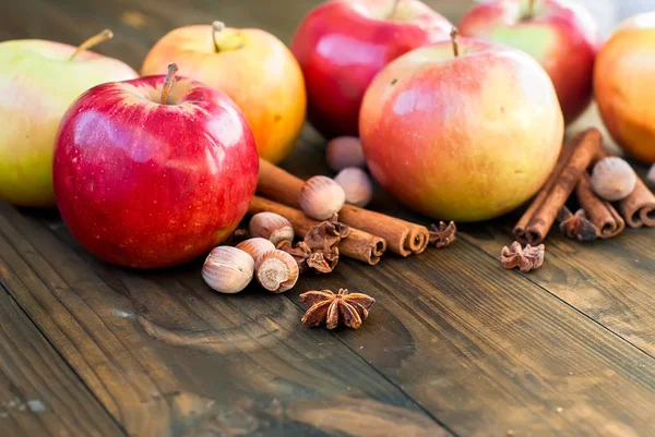 Äpfel Herbst Sorten und Chinamon — Stockfoto