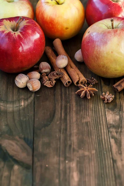 Äpplen hösten sorter och chinamon — Stockfoto