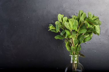 dal nane şişe siyah arka plan üzerine