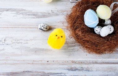 civciv ve yumurta yuvada